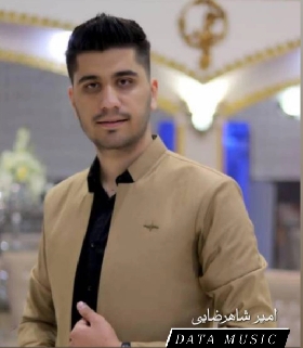 امیر شاهرضایی پیمانی